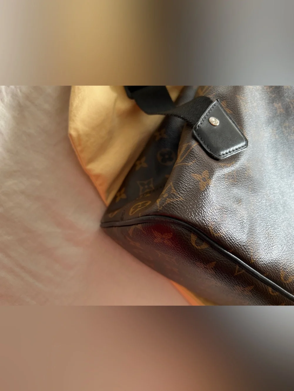Authentic LOUIS VUITTON Monogram Macassar Palk Backpack